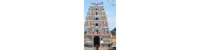 ஆலங்குடி 
